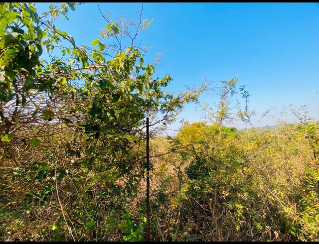 630M² VACANT LAND FOR SALE IN MULEDANE